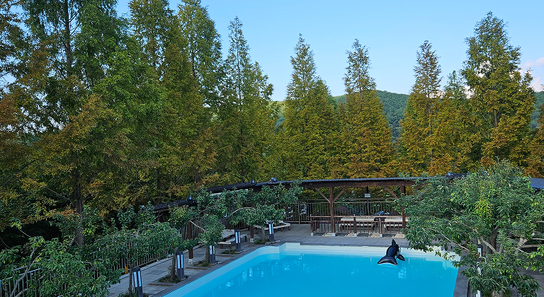 swimmingPoolGallery1